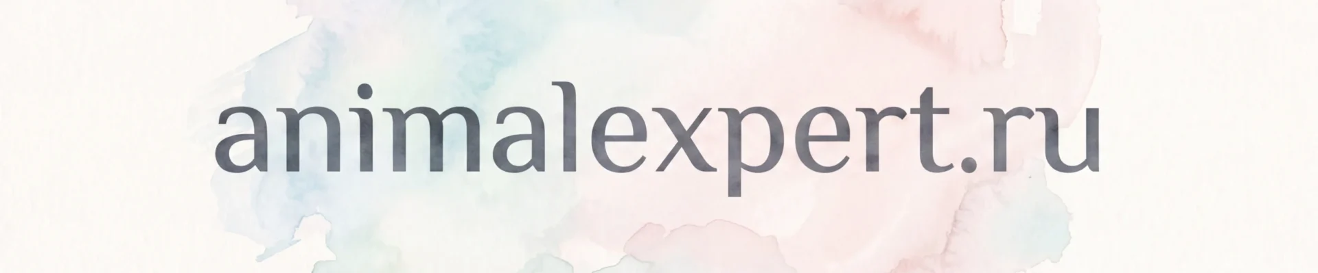 animalexpert.ru